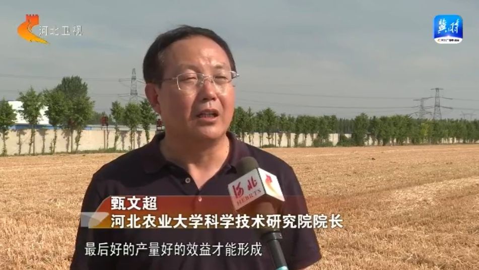 凯发AG：奋战“三夏”“麦”向丰收——河北小麦大规模机收作业基本结束藏粮于技确保夏粮丰产丰收(图3)