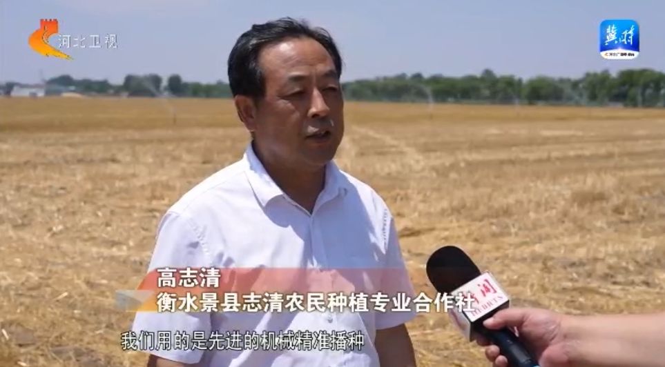 凯发AG：奋战“三夏”“麦”向丰收——河北小麦大规模机收作业基本结束藏粮于技确保夏粮丰产丰收(图6)
