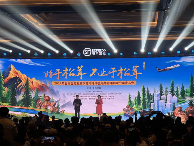 凯发国际：“菌子顶流”迪庆松茸上市跨省最快7小时到达(图1)