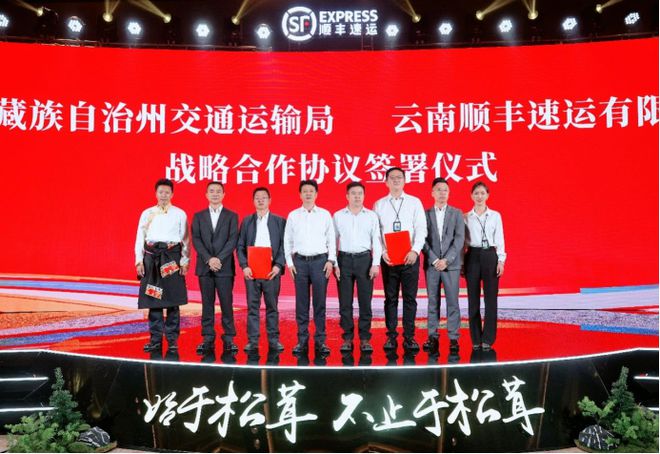 凯发国际：“菌子顶流”迪庆松茸上市跨省最快7小时到达(图5)