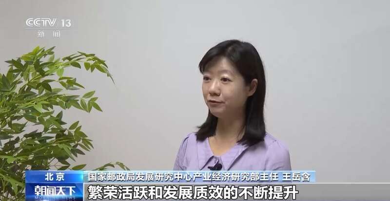 每天揽收约4亿件包裹！中国快递“快”出新速度“递”出新市场(图1)
