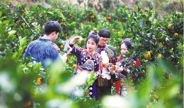 凯发国际首页：直播带货透析(图1)