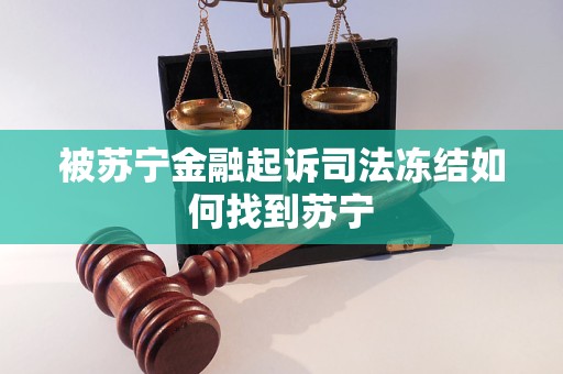凯发k8旗舰厅ag：被苏宁金融起诉司法冻结如何找到苏宁(图1)