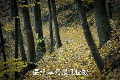 凯发国际：德邦大件快递查询单号怎么查询德邦shipping单号？(图2)