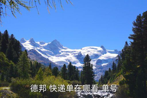 凯发国际：德邦大件快递查询单号怎么查询德邦shipping单号？(图1)