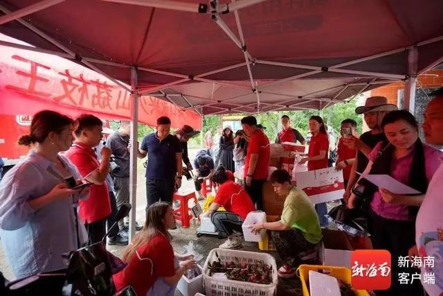 天！把荔枝寄到省外运费比荔枝本身价格还贵(图1)